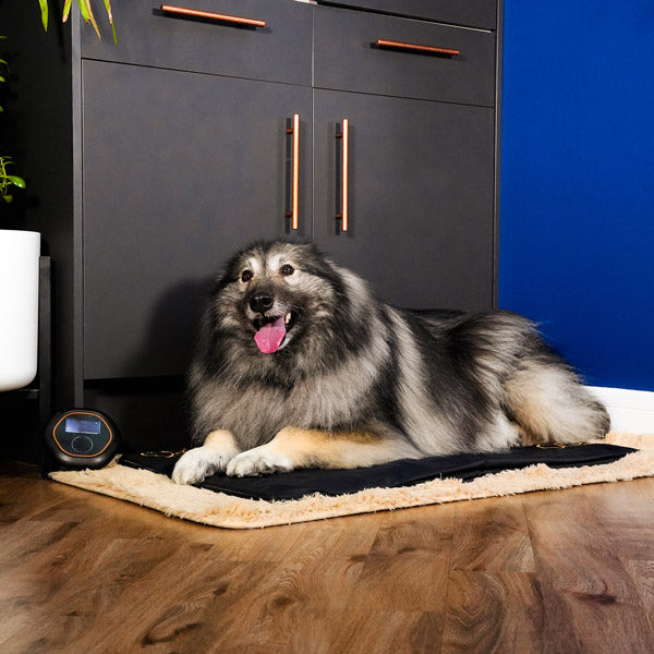 Dog laying on CELLER8 large pet mat