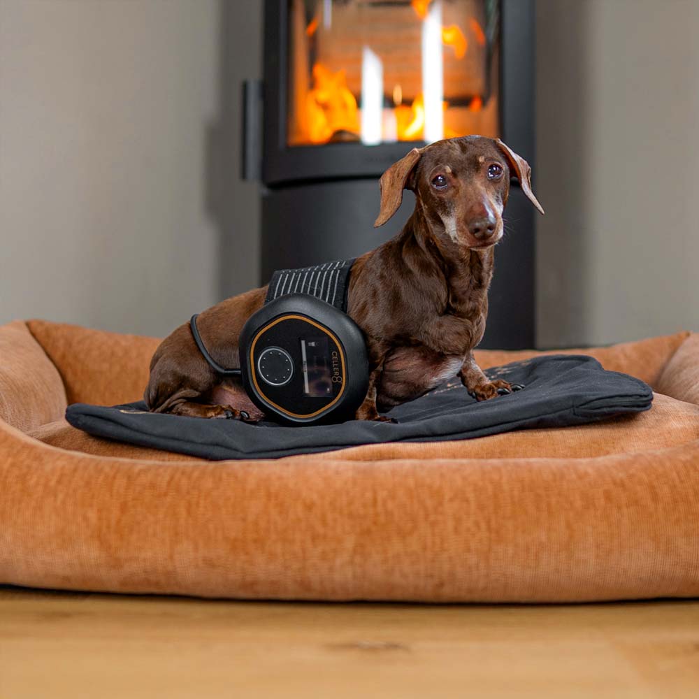 CELLER8 biohacker era t-shirt in field