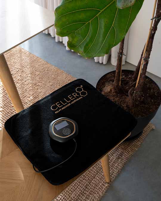 CELLER mini mat on bench with CELLER8 controller