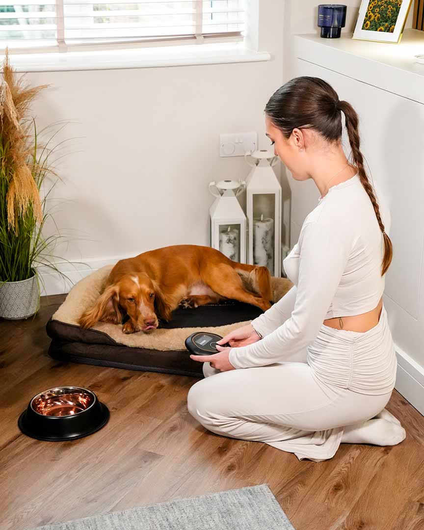 Women setting up CELLER8 pet mat for dog