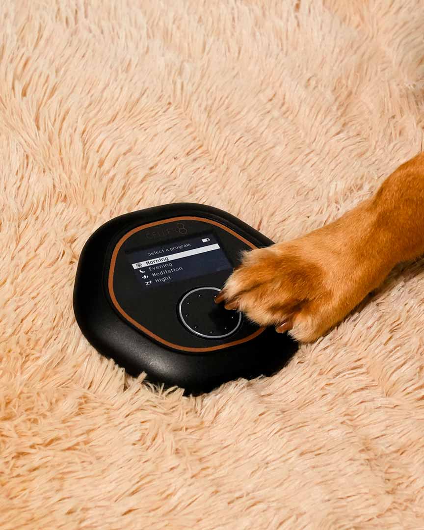 Dog adjusting CELLER8 settings