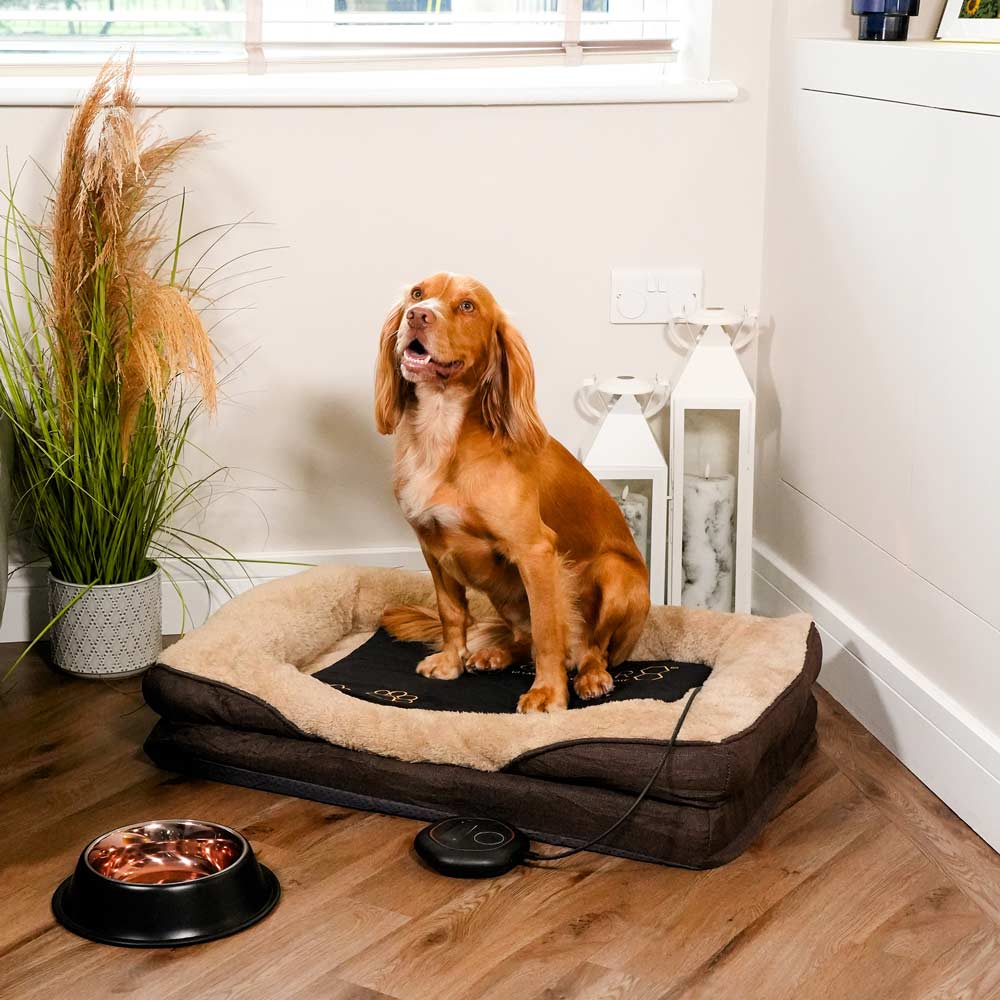 Dog sat in dog bed on CELLER8 pet mat
