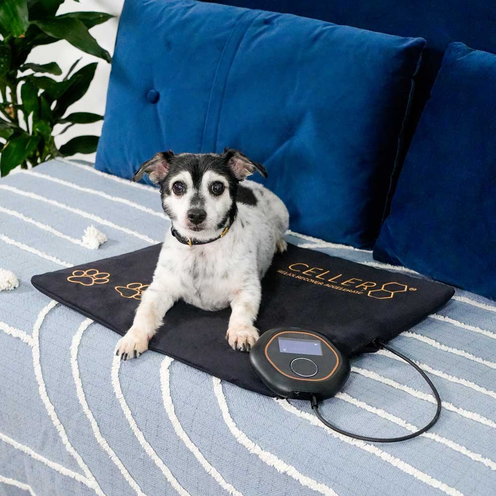 Dog laying on CELLER8 pet mat