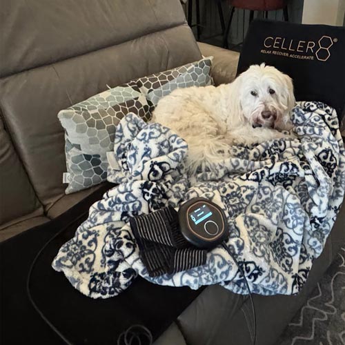 Drew Todd photo review of CELLER8